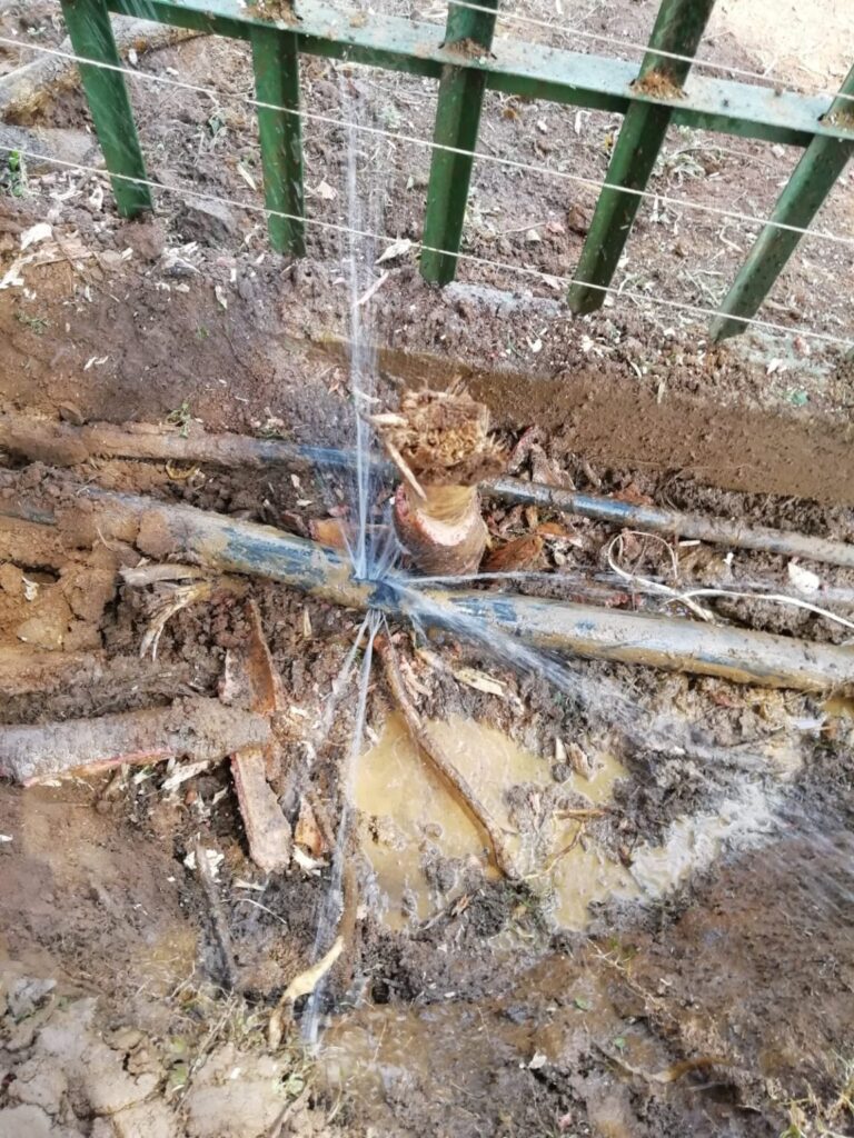 Exposed pipe connections during an investigation